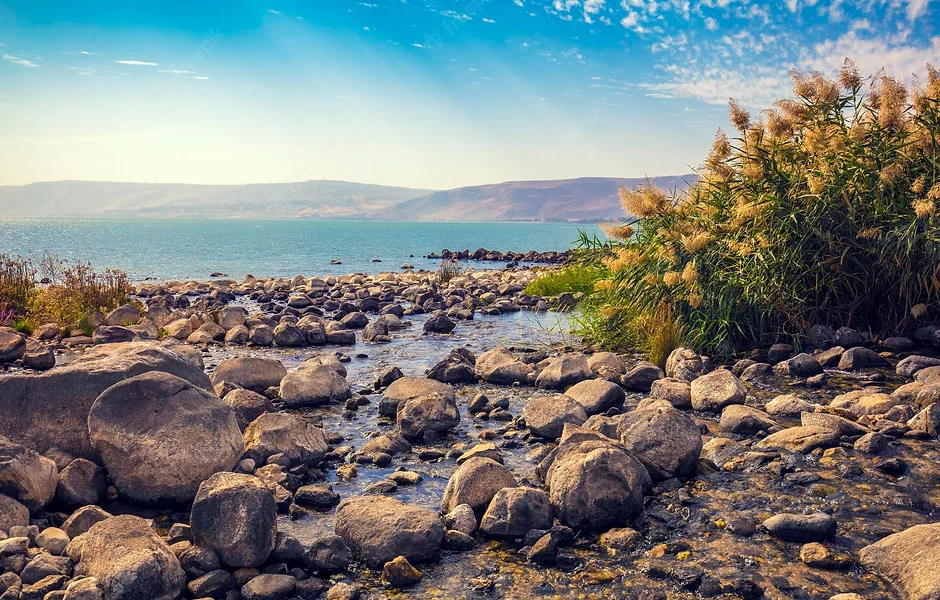 coast-sea-galilee-near-ein-eyov-waterfall-tabgha-israel_416511-2797