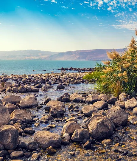 coast-sea-galilee-near-ein-eyov-waterfall-tabgha-israel_416511-2797